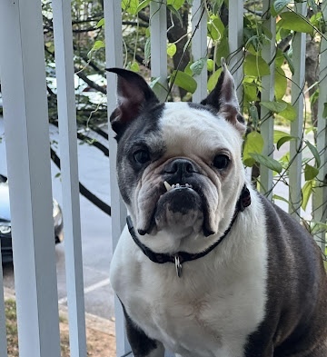Zoey 3